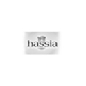 schwingshandl automation technology hassia
