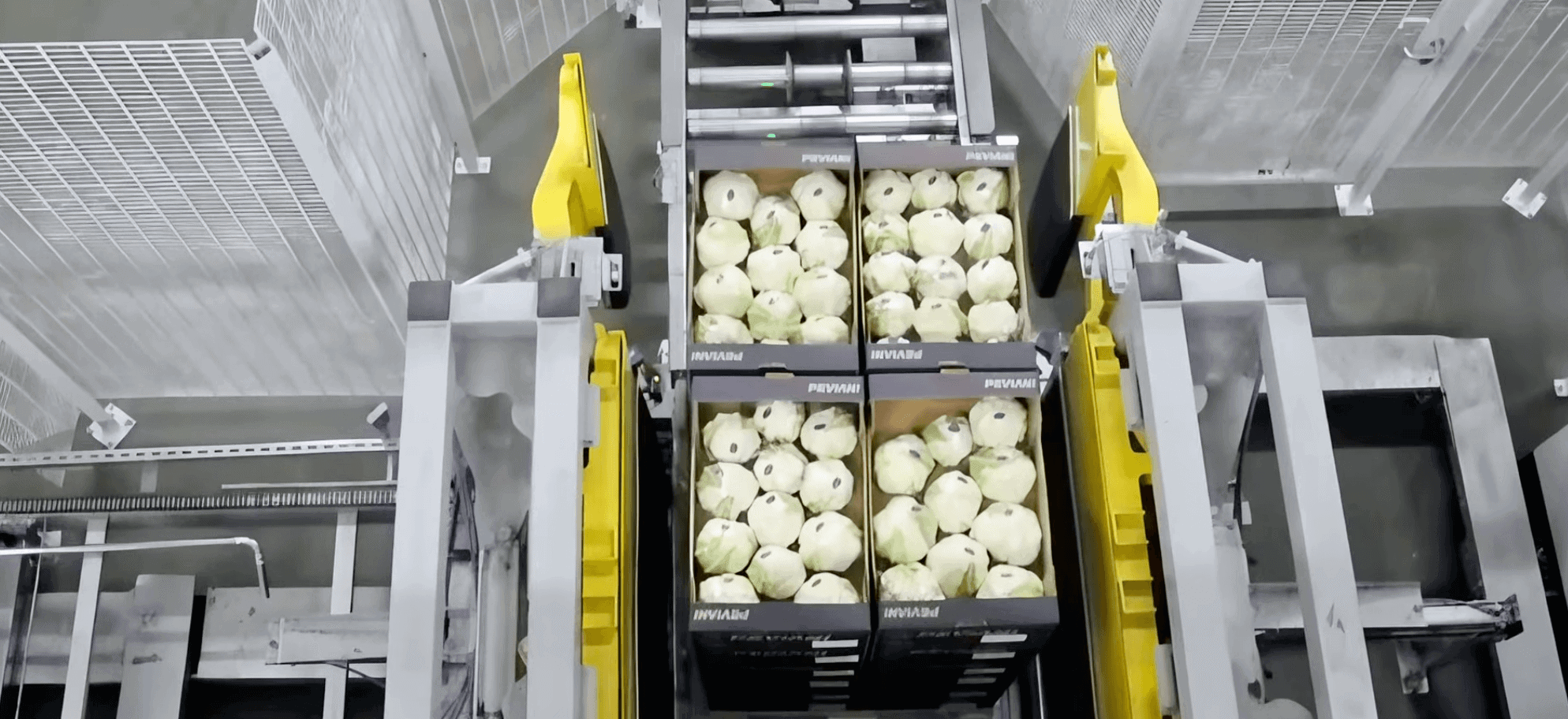 Depalettieranlage Mit Entstapelung Und Traybeladung